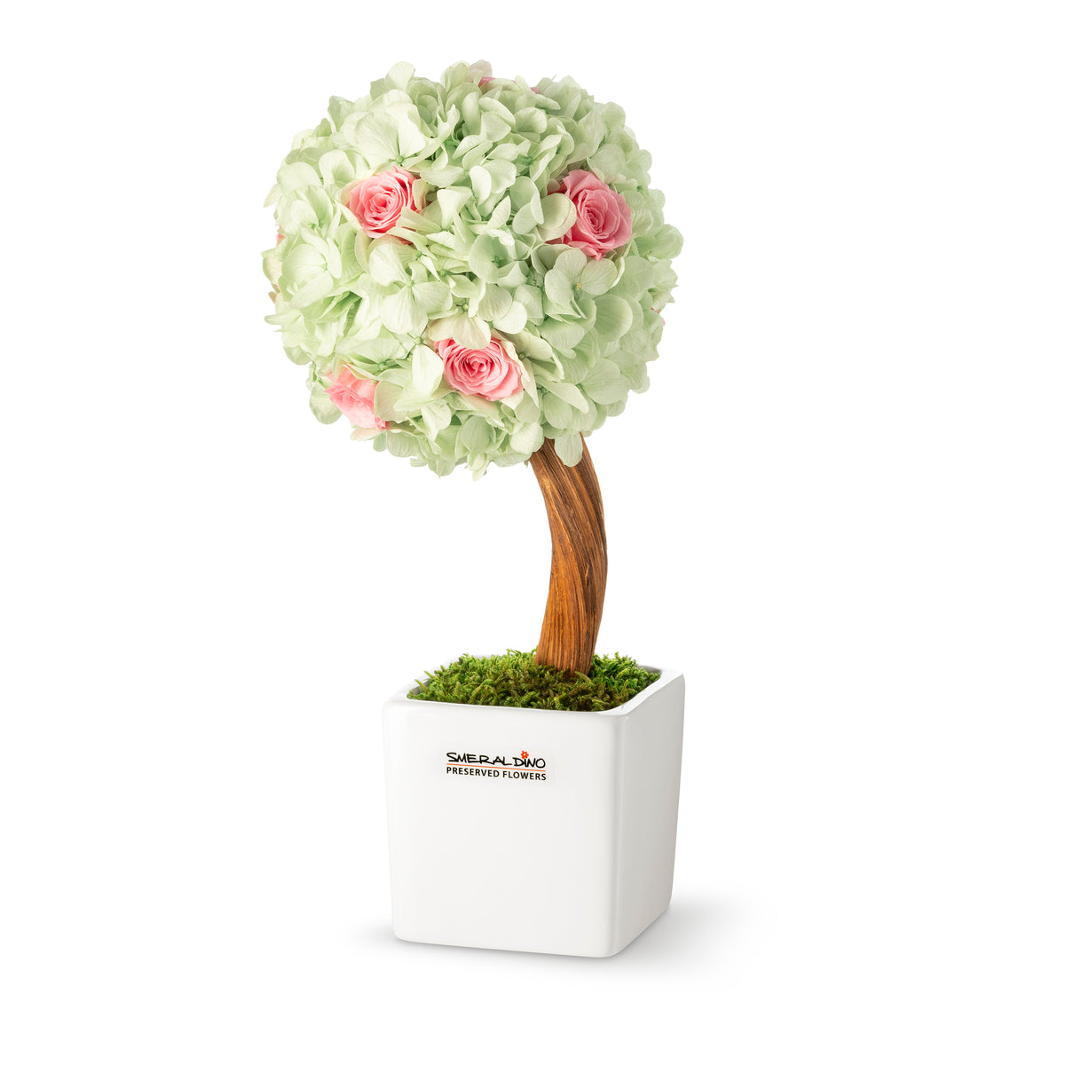 Stromek Gold Hortensie