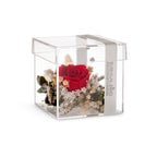 Cube mini