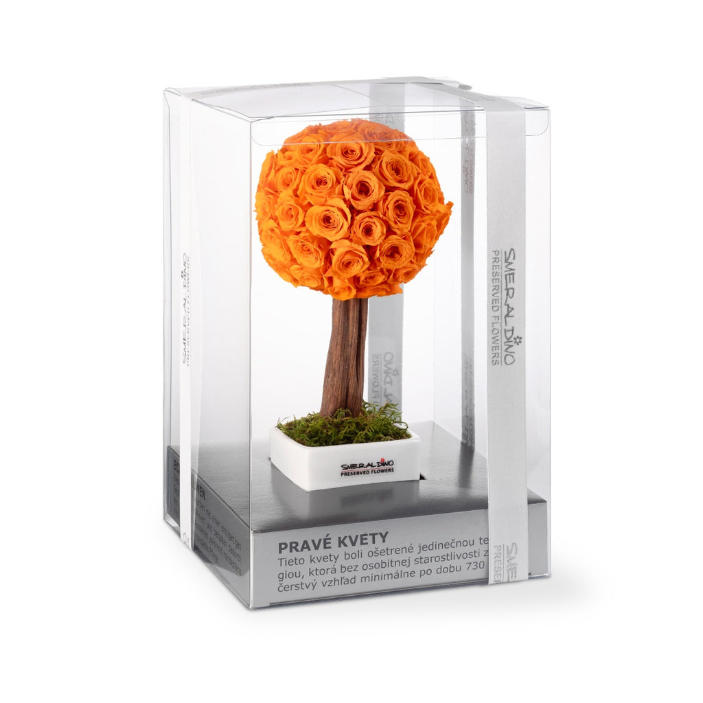 Stromek Platinum