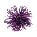 Chrysanthema Anastasia