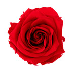 Premium Rosen, Geschenkverpackung
