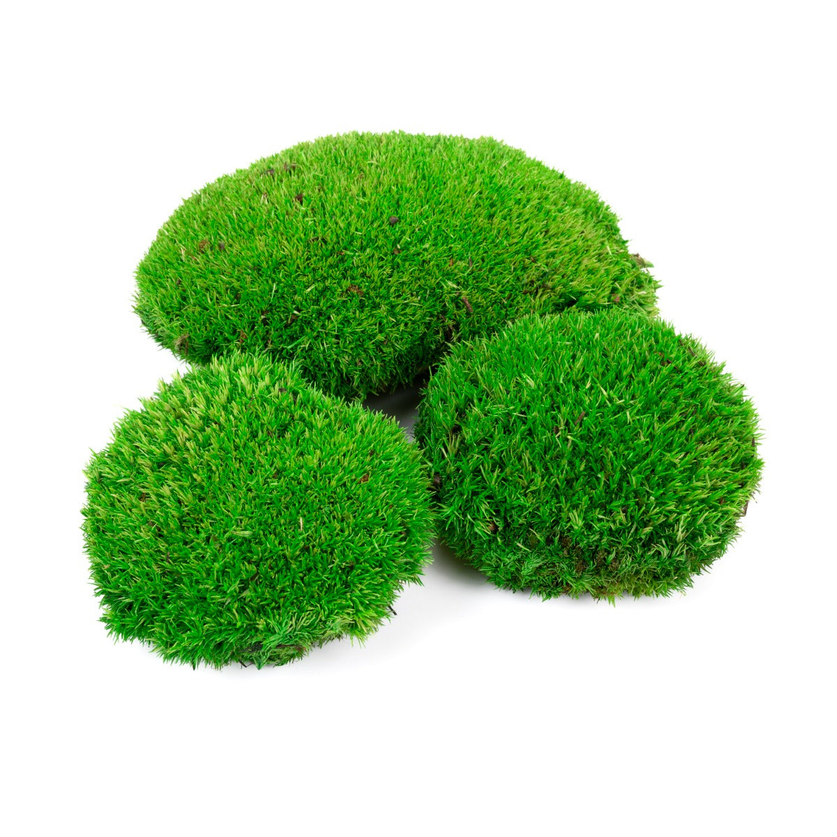 Pole Moss