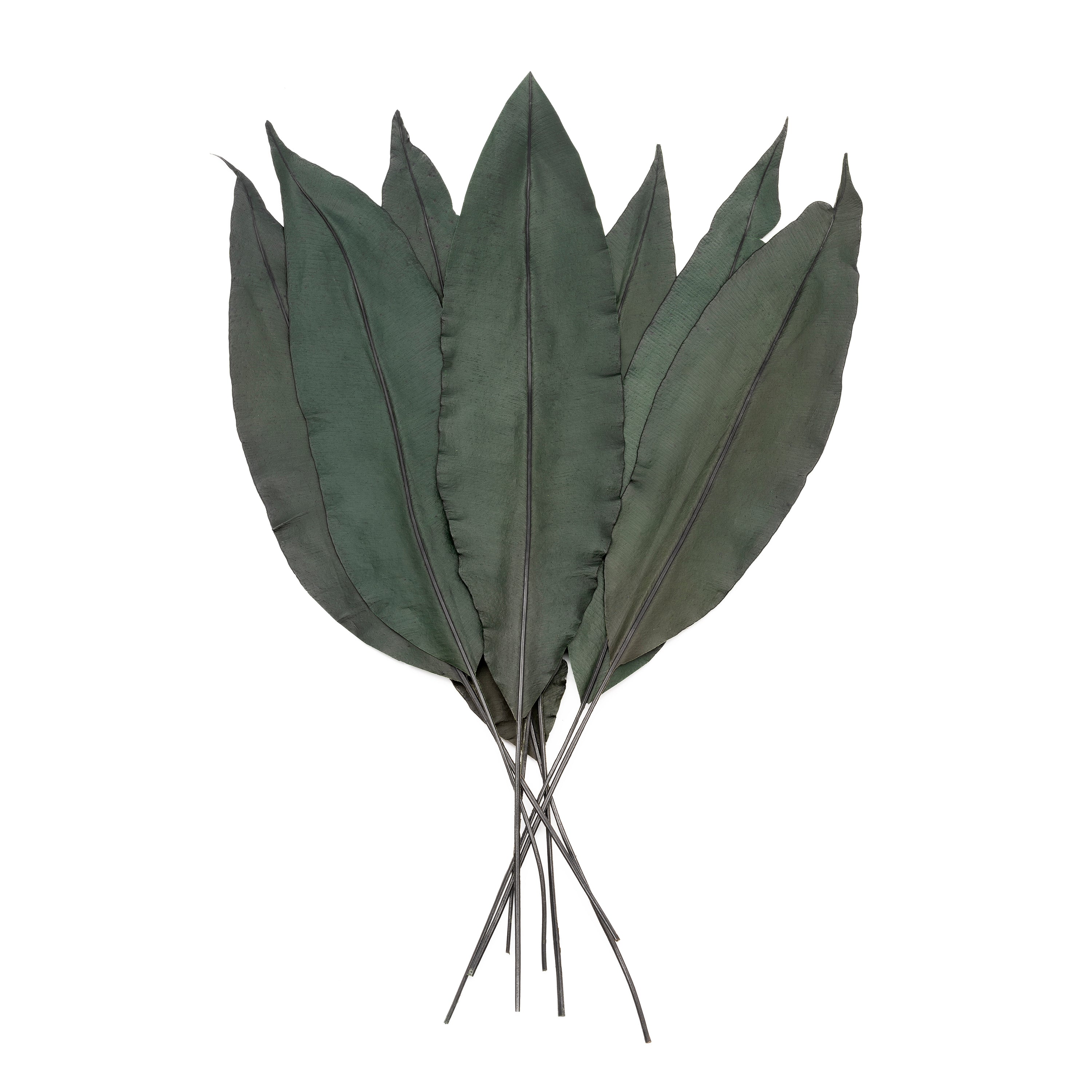 Tropisches Blatt