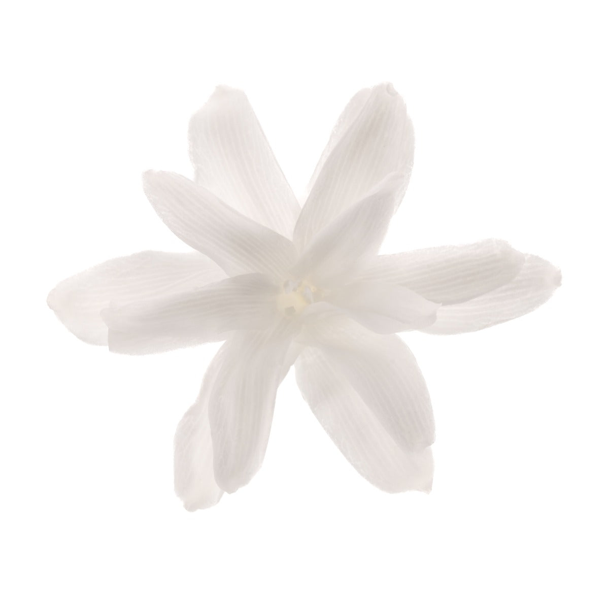 Tuberose