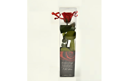 Mini - rosen in der Geschenkverpackung