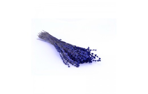 Lavendel natural - LVE 0820