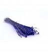 Lavendel natural - LVE 0820
