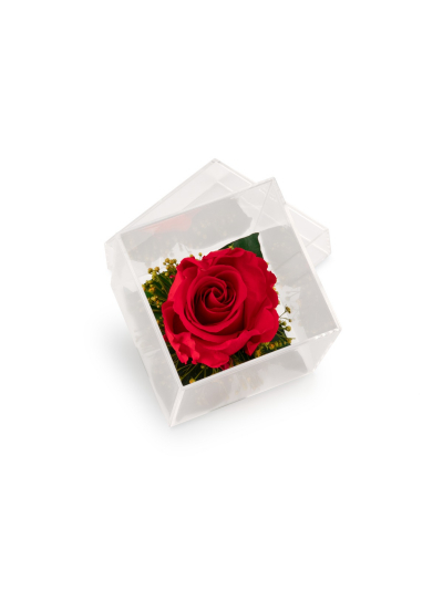 Cube